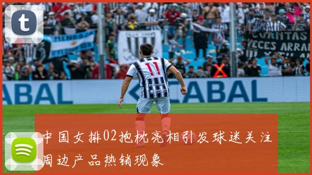 中国女排02抱枕亮相引发球迷关注周边产品热销现象