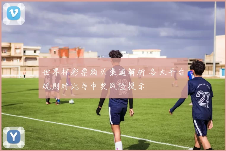 世界杯彩票购买渠道解析 各大平台规则对比与中奖风险提示