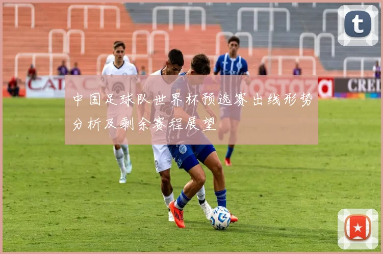 中国足球队世界杯预选赛出线形势分析及剩余赛程展望