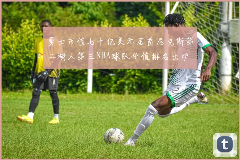 勇士市值七十亿美元居首尼克斯第二湖人第三NBA球队价值排名出炉