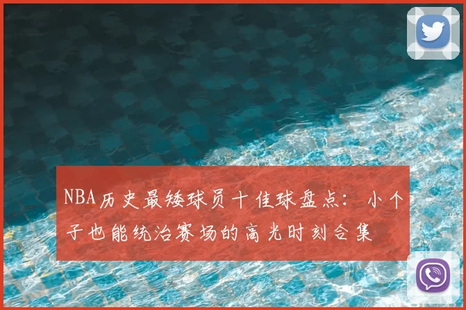 NBA历史最矮球员十佳球盘点：小个子也能统治赛场的高光时刻合集
