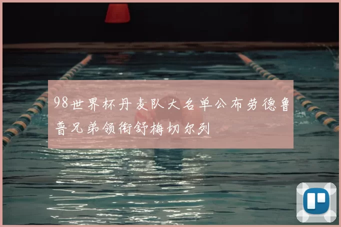 98世界杯丹麦队大名单公布劳德鲁普兄弟领衔舒梅切尔列