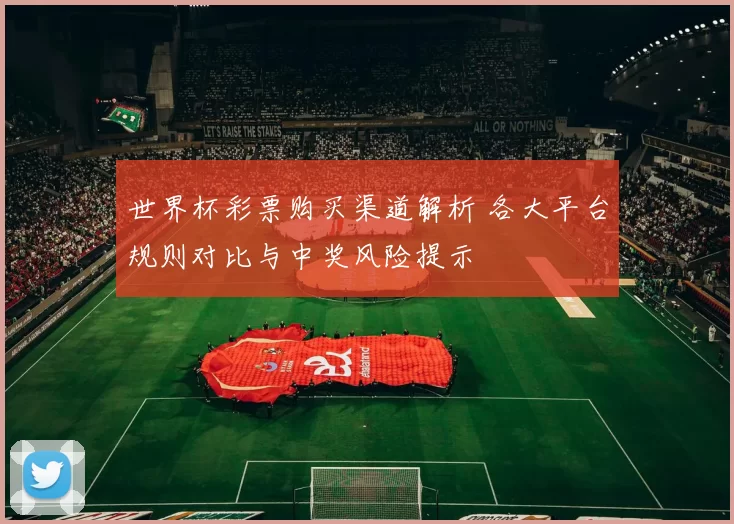 世界杯彩票购买渠道解析 各大平台规则对比与中奖风险提示