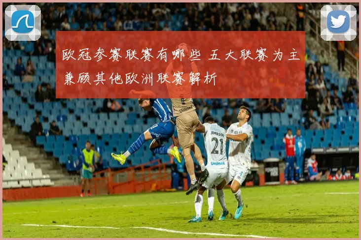 欧冠参赛联赛有哪些 五大联赛为主兼顾其他欧洲联赛解析