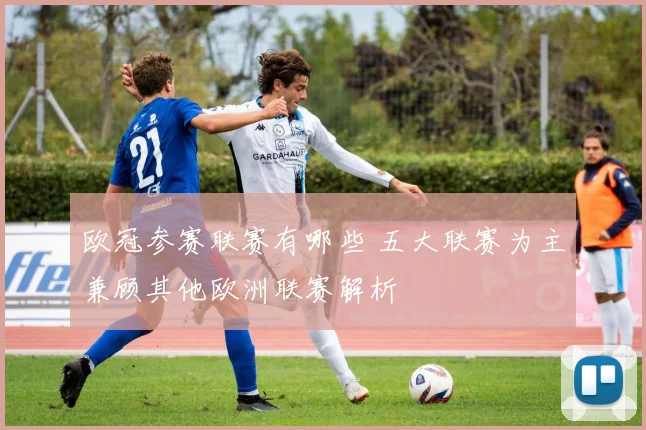 欧冠参赛联赛有哪些 五大联赛为主兼顾其他欧洲联赛解析