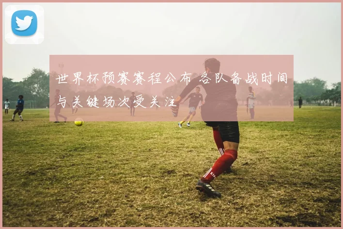 世界杯预赛赛程公布 各队备战时间与关键场次受关注